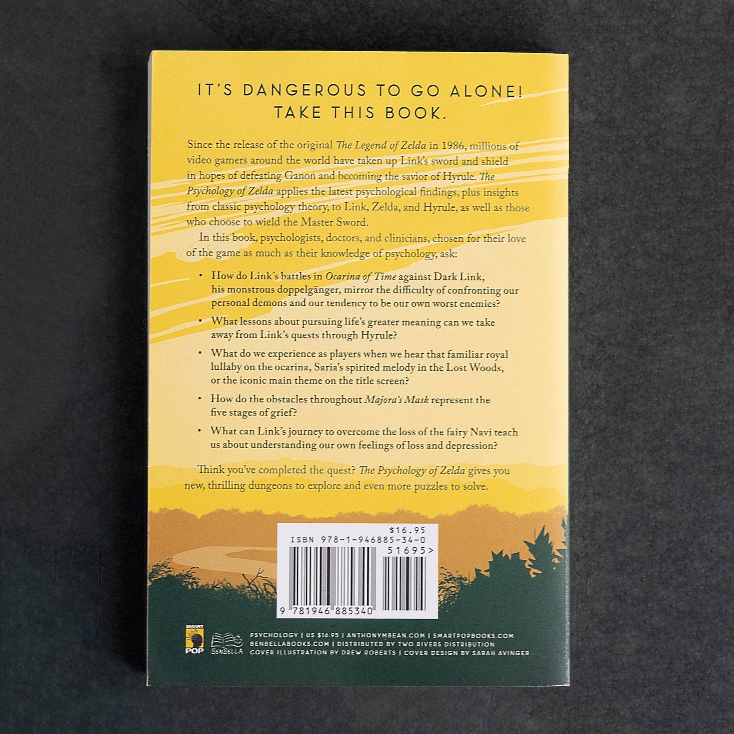 The Psychology of Zelda: Linking Our World to the Legend of Zelda Series - 