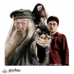 Harry Potter - The Magical Guardians Wooden Jigsaw Puzzle - A4 + Wooden Gift Box
