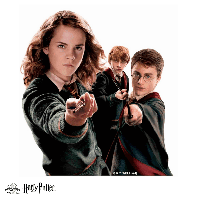 Harry Potter - The Hogwarts Heroes Wooden Jigsaw Puzzle - A4 + Wooden Gift Box