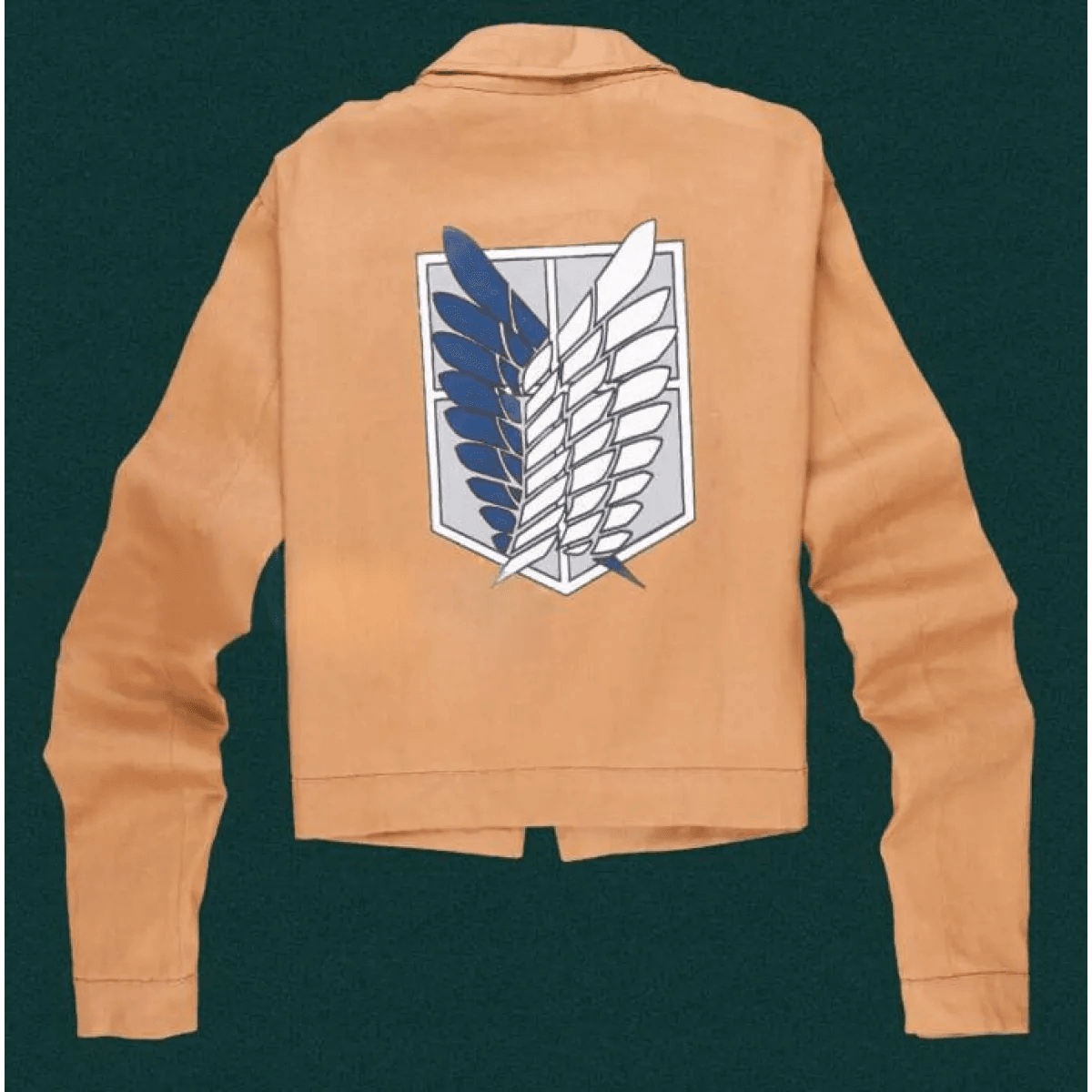 Attack On Titan Cosplay - Brown / S