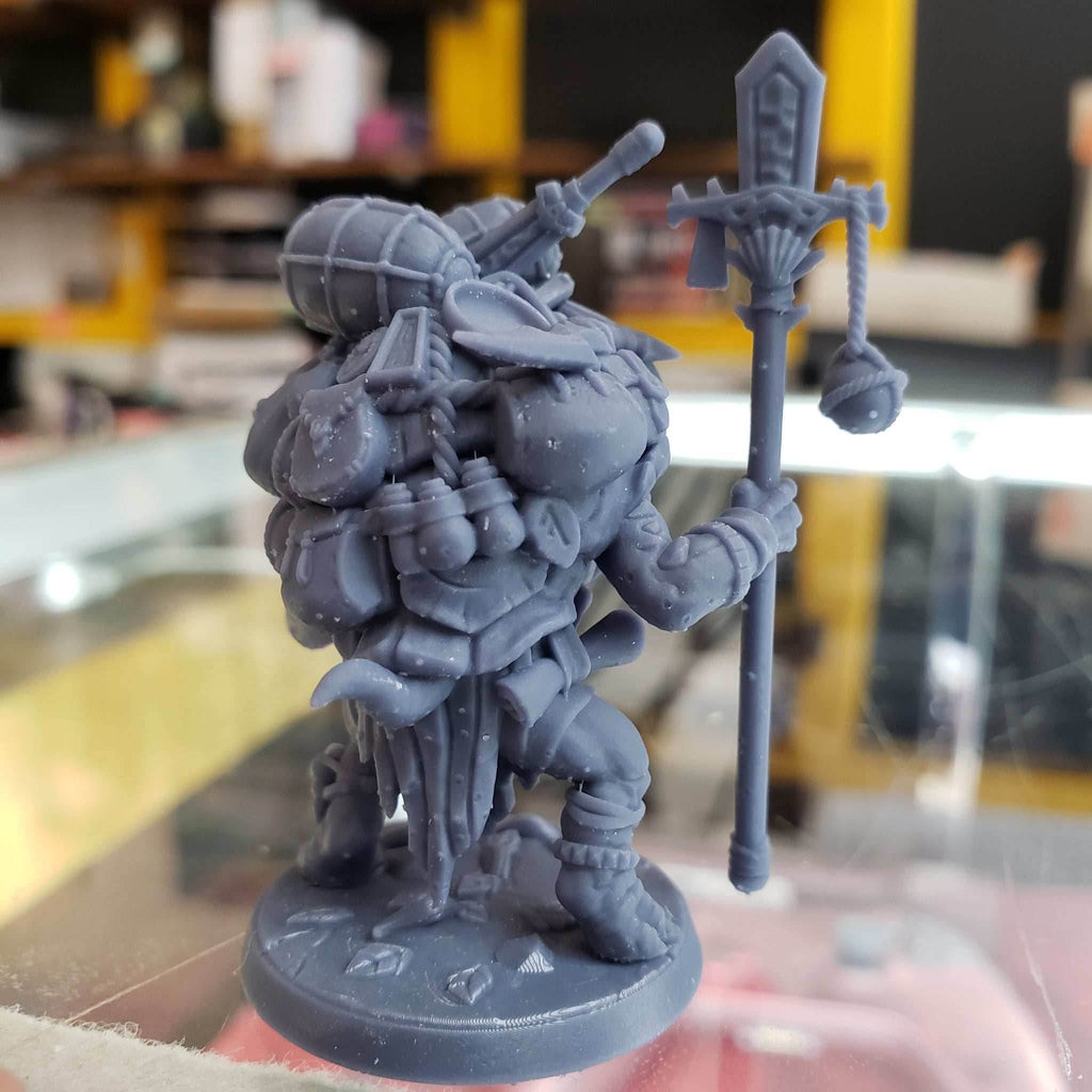 Tokun the Traveling Merchant (Male Turtlekin Merchant) - 30mm - Native