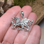Welsh Dragon Necklace - 18