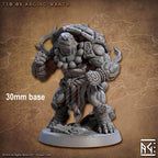 Tso'ok Raging Wrath (Male Turtlekin Monk) - 
