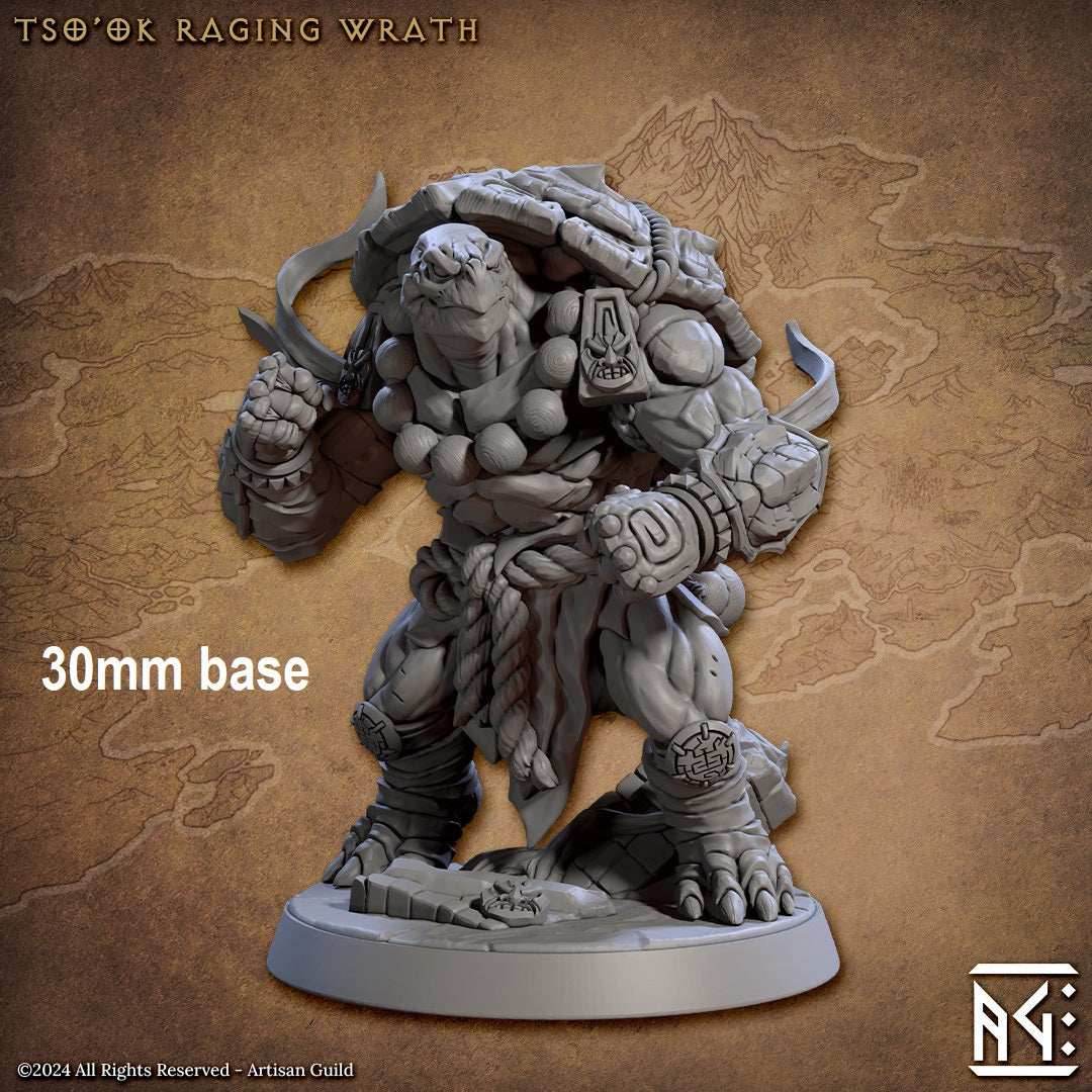 Tso'ok Raging Wrath (Male Turtlekin Monk) - 