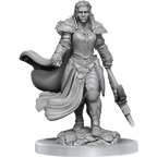 D&D: Nolzur's Marvelous Miniatures - Orc Fighter Female - 