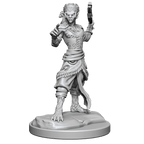D&D: Nolzur's Marvelous Miniatures - Shifter Fighter - 