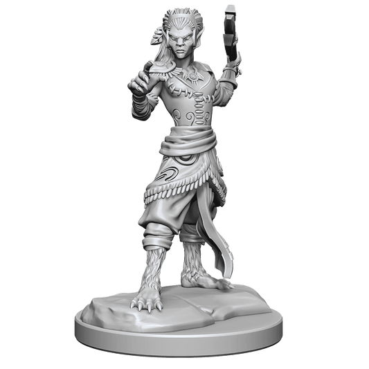 D&D: Nolzur's Marvelous Miniatures - Shifter Fighter - 