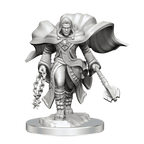 D&D: Nolzur's Marvelous Miniatures - Aasimar Cleric Male - 