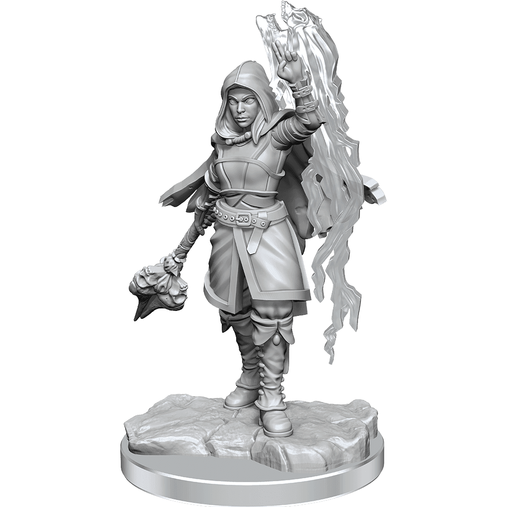 D&D: Nolzur's Marvelous Miniatures - Half-Elf Warlock - 