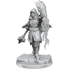 D&D: Nolzur's Marvelous Miniatures - Half-Elf Warlock - 