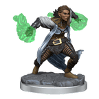 D&D: Nolzur's Marvelous Miniatures - Half-Elf Warlock - 