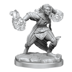 D&D: Nolzur's Marvelous Miniatures - Half-Elf Warlock - 