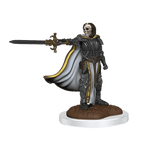 D&D: Nolzur's Marvelous Miniatures - Death Knights - 