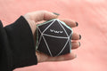 D20 Cat Toy