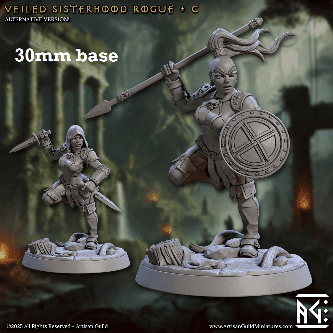 Veiled Sisterhood Rogue: Sculpt C (Female Human Fighter / Assassin) - No Hood / Spear / Shield