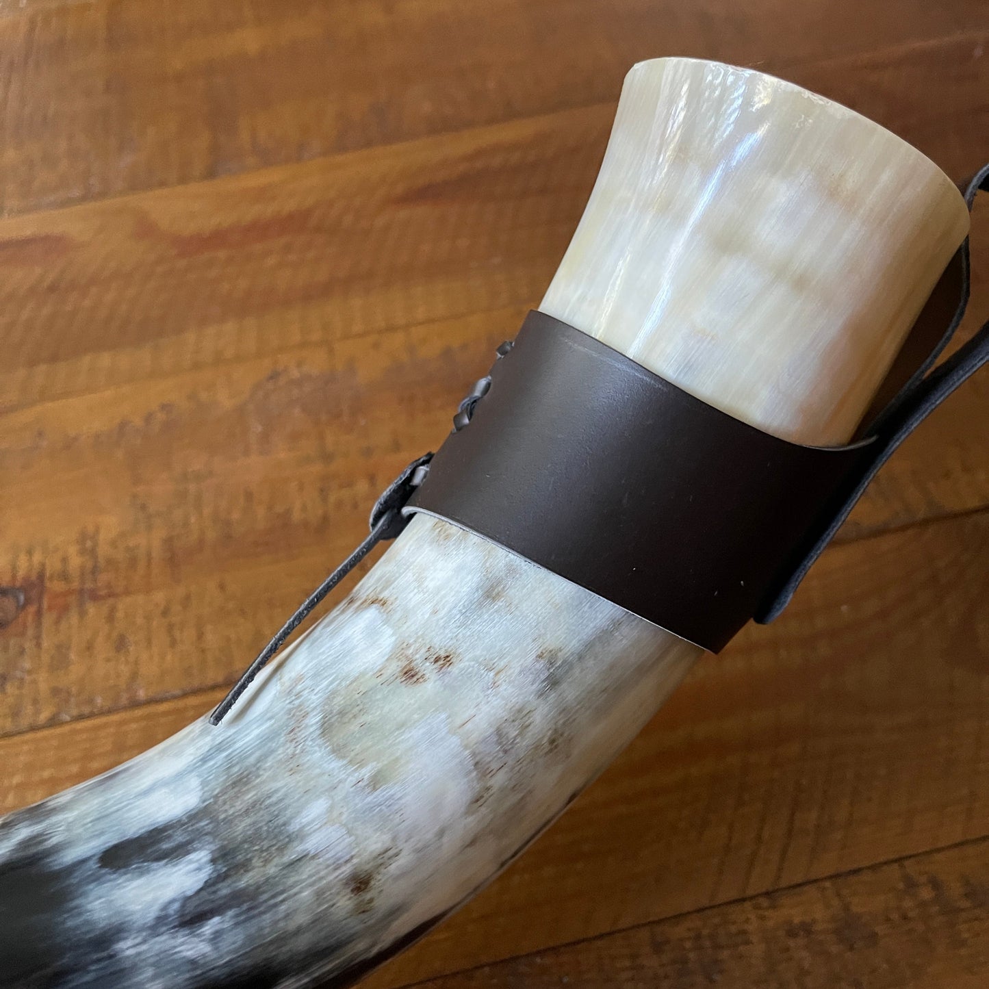 Viking Horn with Belt Loop and Iron Display Stand