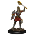 D&D: Icons of the Realms - Human Cleric Female - 