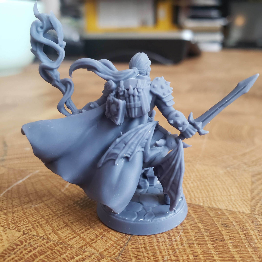 Wappellious Spellbrush (Male Human Wizard / Rogue) - 