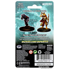 D&D: Nolzur's Marvelous Miniatures - Wererat & Weretiger - 