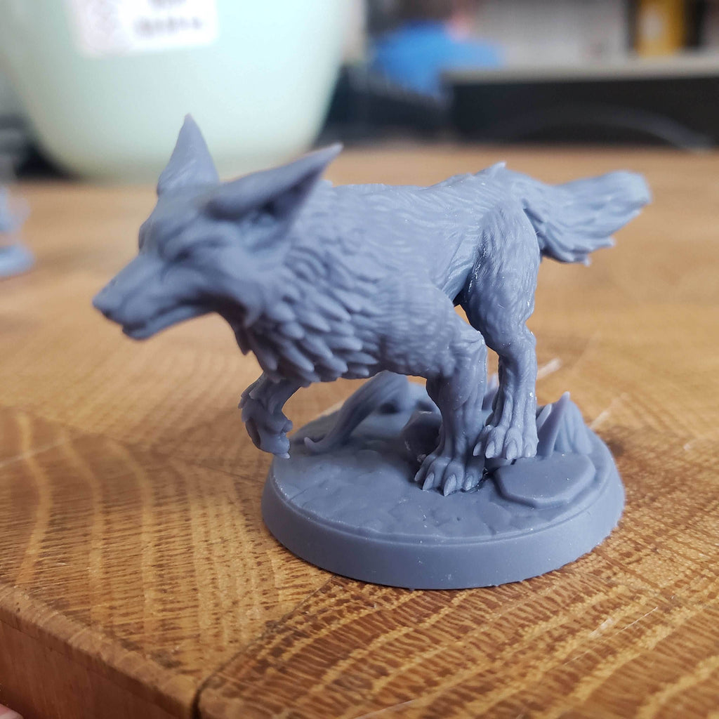 Wild Mystic Foxes - A - On the Hunt