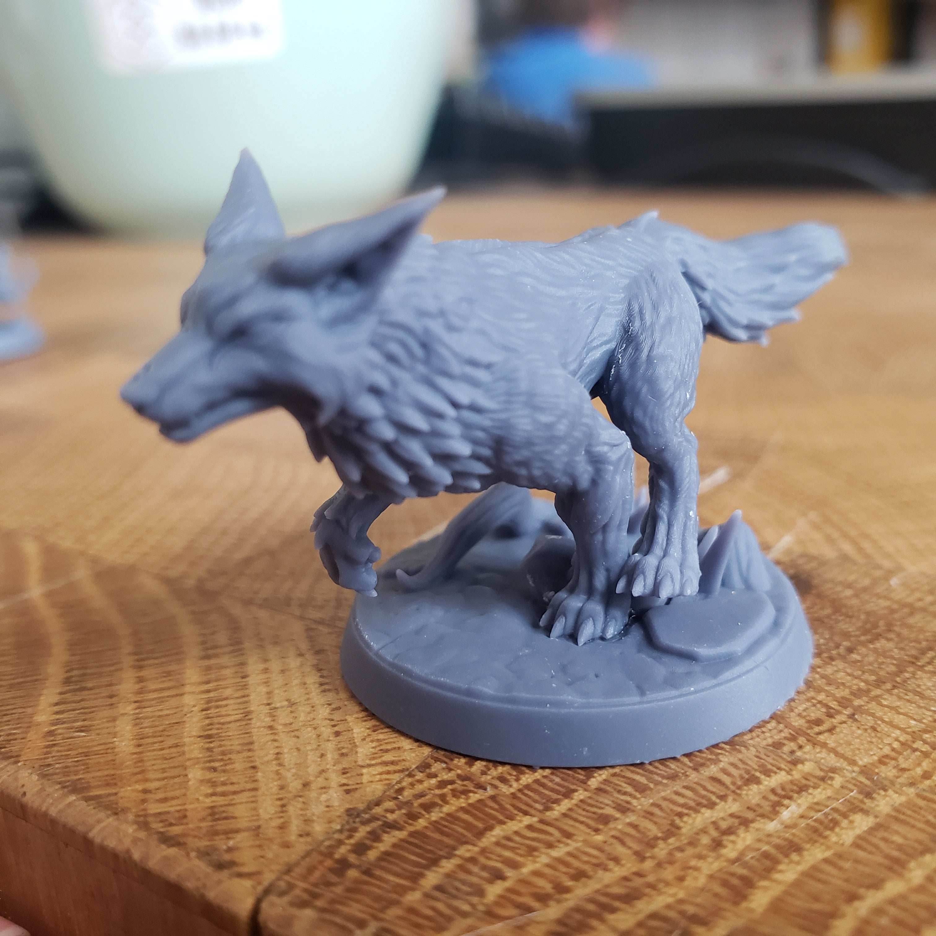 Wild Mystic Foxes - A - On the Hunt