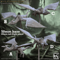 Wild Pterowyvern (Pterodactyls) - A