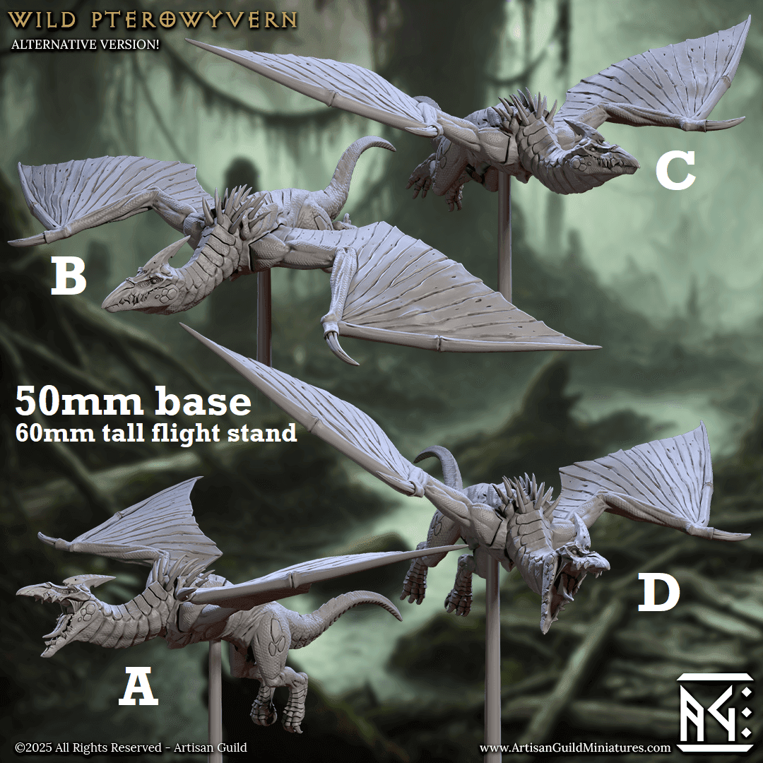 Wild Pterowyvern (Pterodactyls) - A