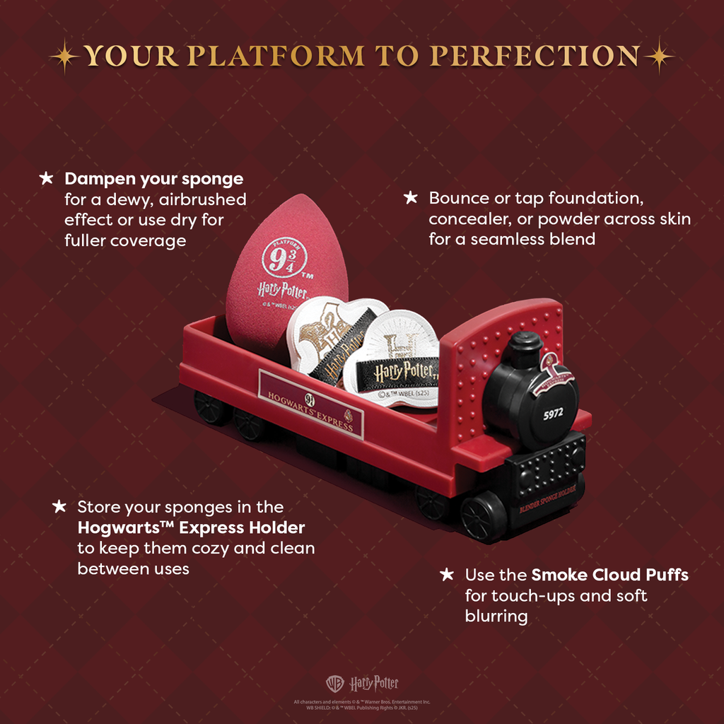Harry Potter Holiday | Hogwarts™ Express Sponge Set