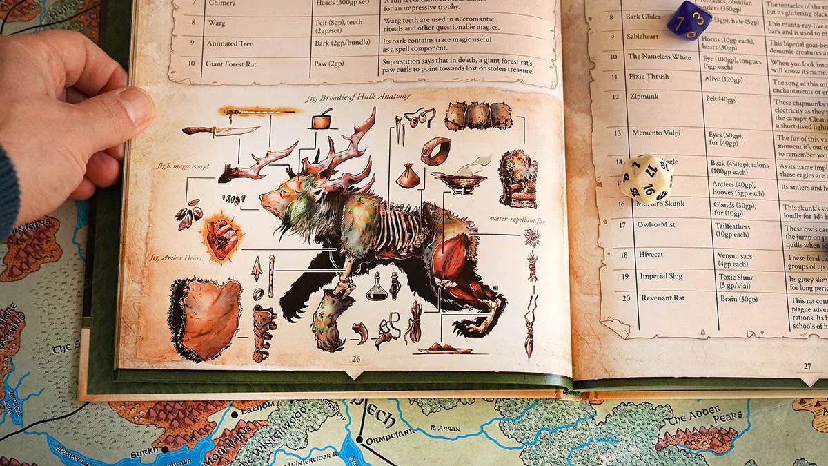 Wondrous Expeditions - Forests (Hardcover) - 