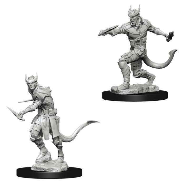 D&D Nolzur's Marvelous Minis: Tiefling Male Rogue - 