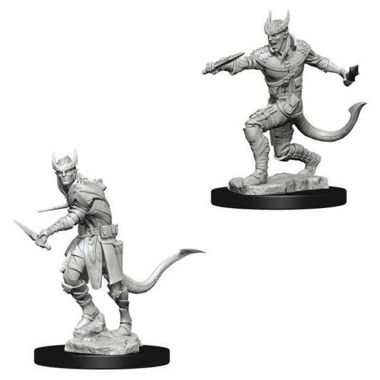 D&D Nolzur's Marvelous Minis: Tiefling Male Rogue - 