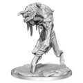 D&D: Frameworks - Troll - 
