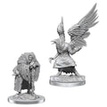D&D: Nolzur's Marvelous Miniatures - Wereravens - 