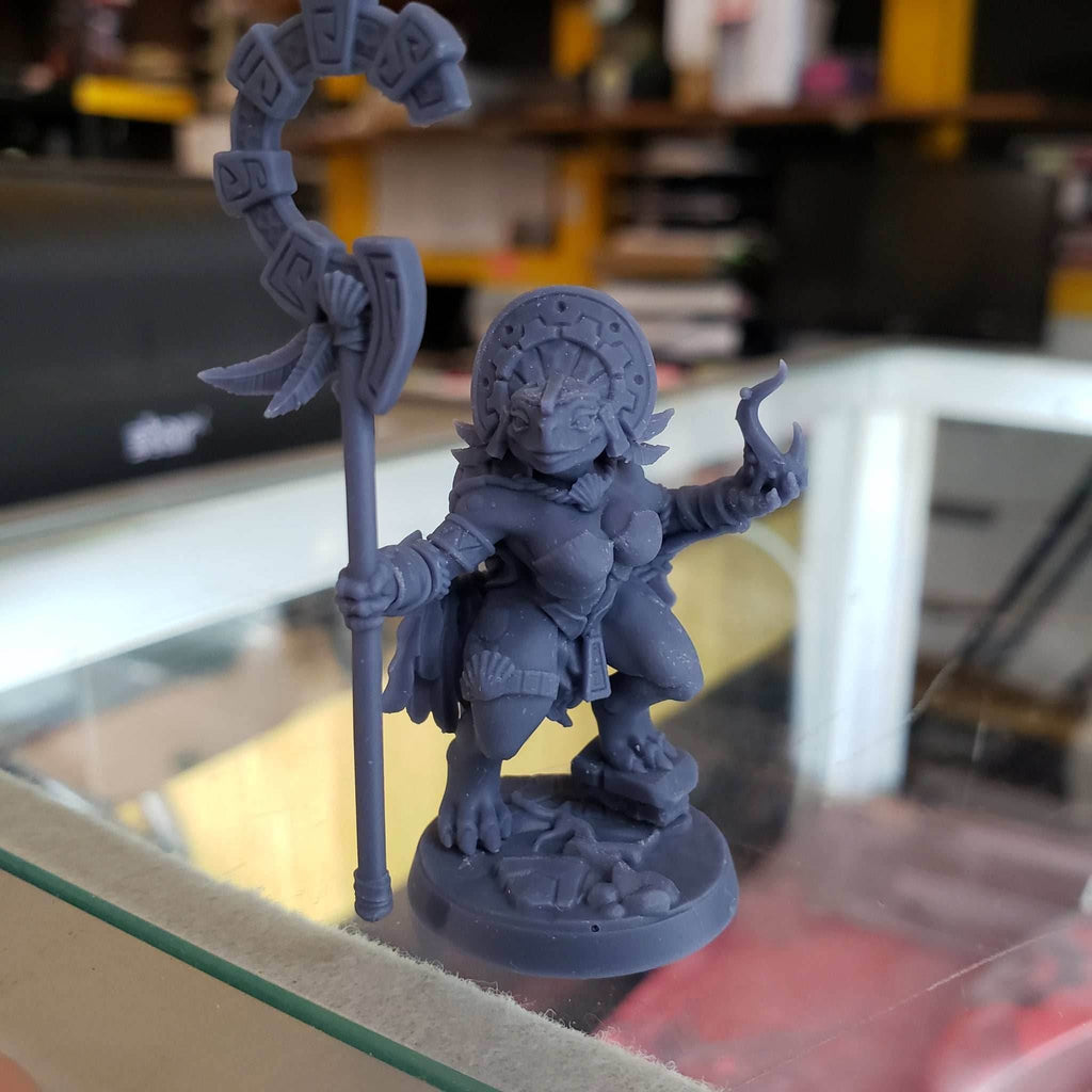Yatl (Female Turtlekin Cleric) - 