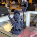 Yatl (Female Turtlekin Cleric) - 