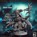 Zar'kash, Master of the Lightning Eels (Male Merfolk Beastmaster) - 