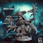 Zar'kash, Master of the Lightning Eels (Male Merfolk Beastmaster) - 