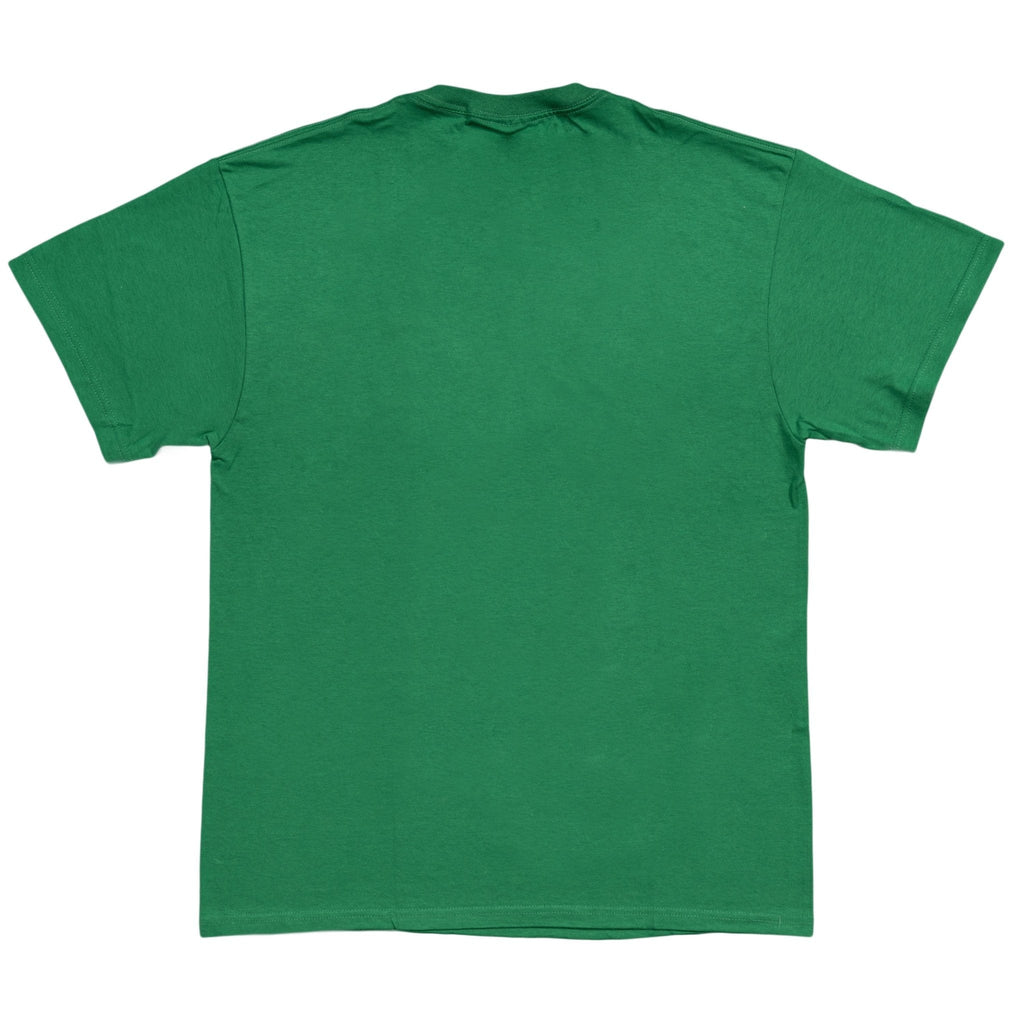 Zelda Skyward Sword Link T-Shirt