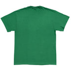 Zelda Skyward Sword Link T-Shirt