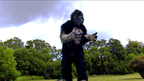 Zillafoot Bluray