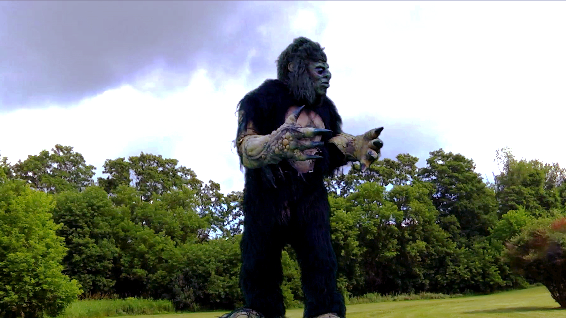 Zillafoot Bluray