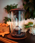Mystic Dragon - Backflow Incense Burner - 