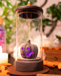 Zen Pumpkin - Backflow Incense Burner - 